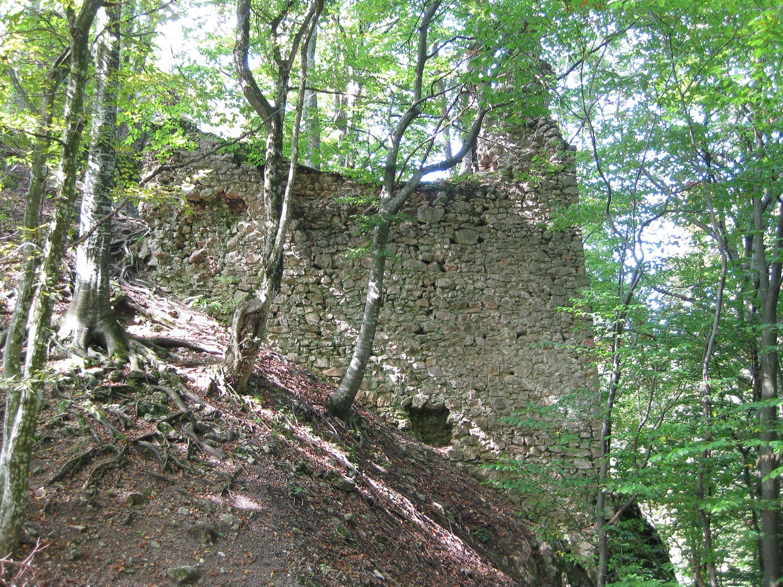 Die Mauern der Westseite im Wald