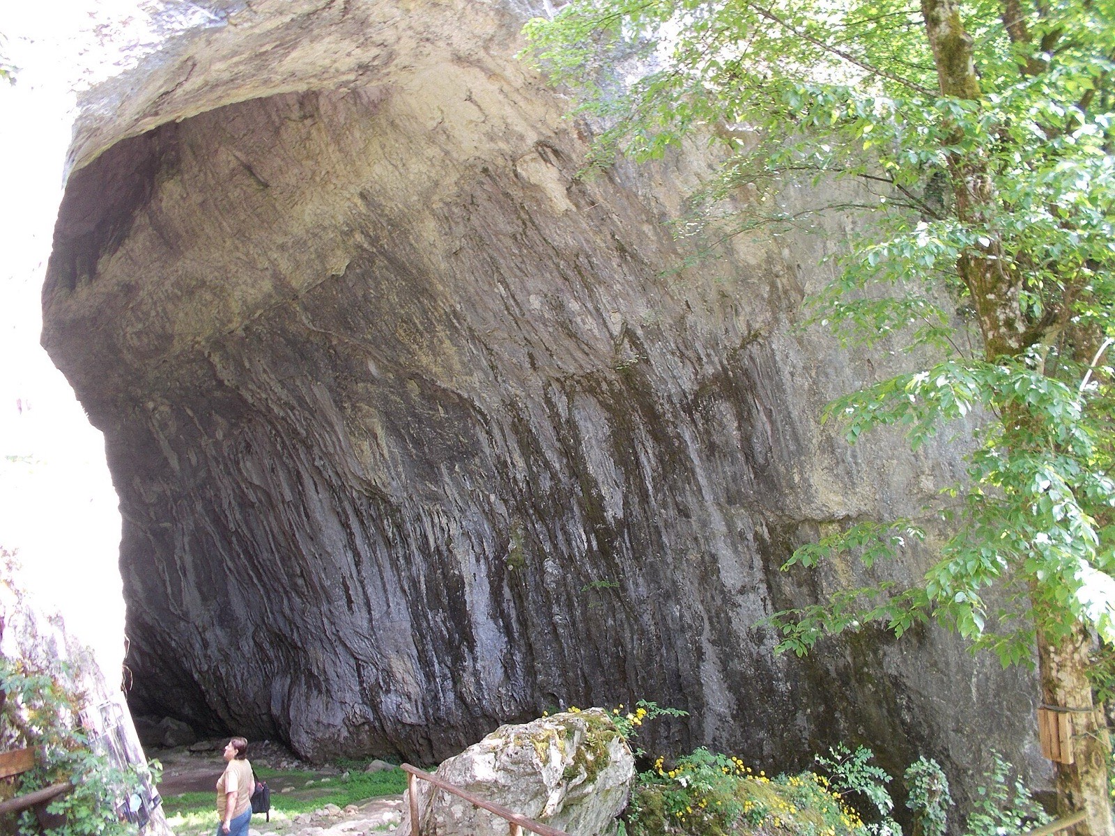 Peretele de calcar de la intrarea în peșteră