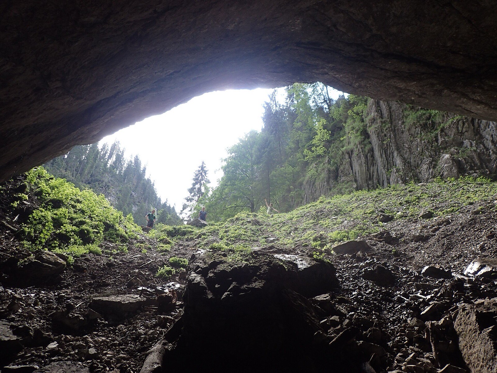 Vedere din interiorul uneia dintre intrări spre pădure